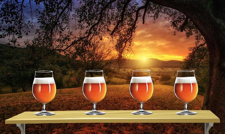 Spiegelau Craft Barrel Aged Bierglas